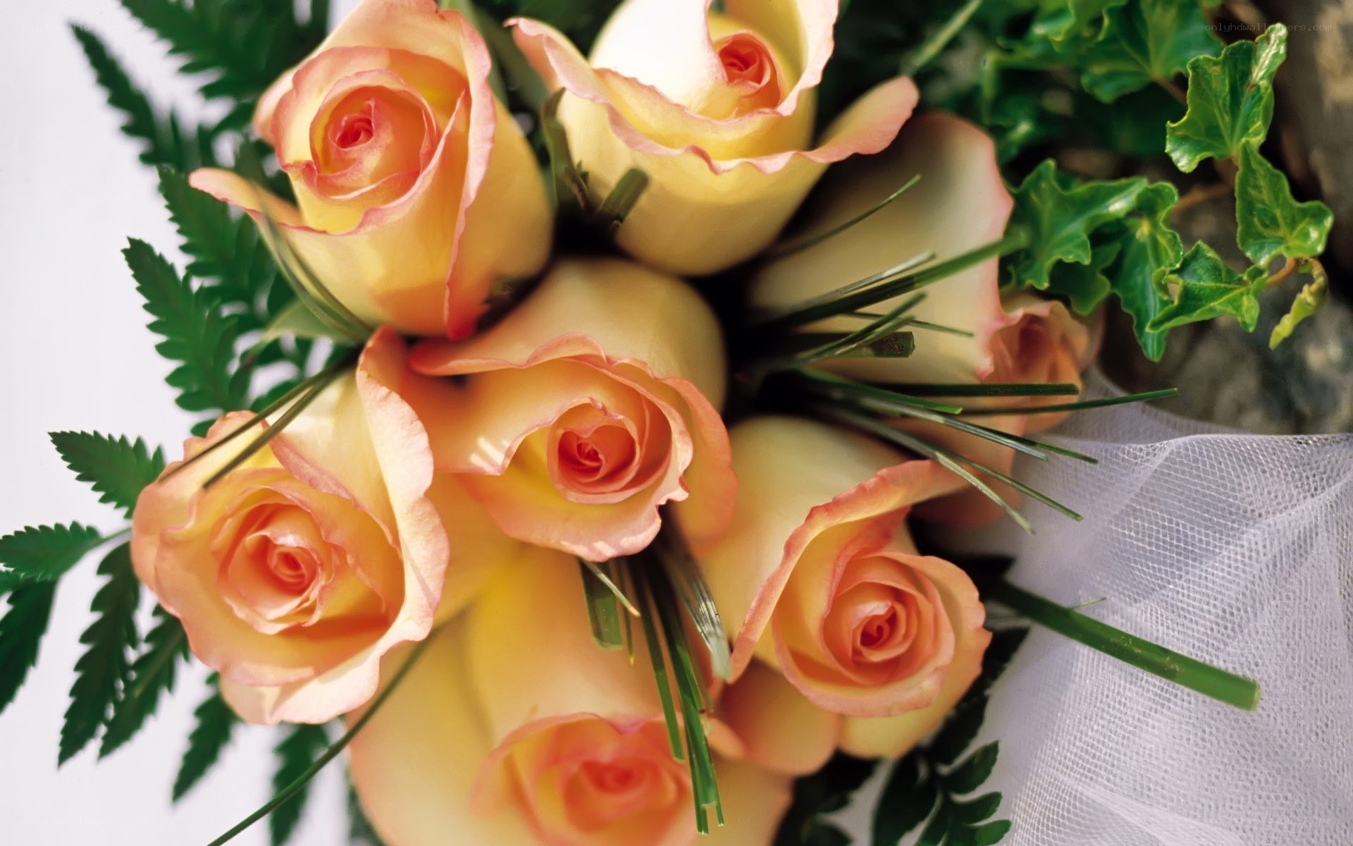 bouquet of peach roses