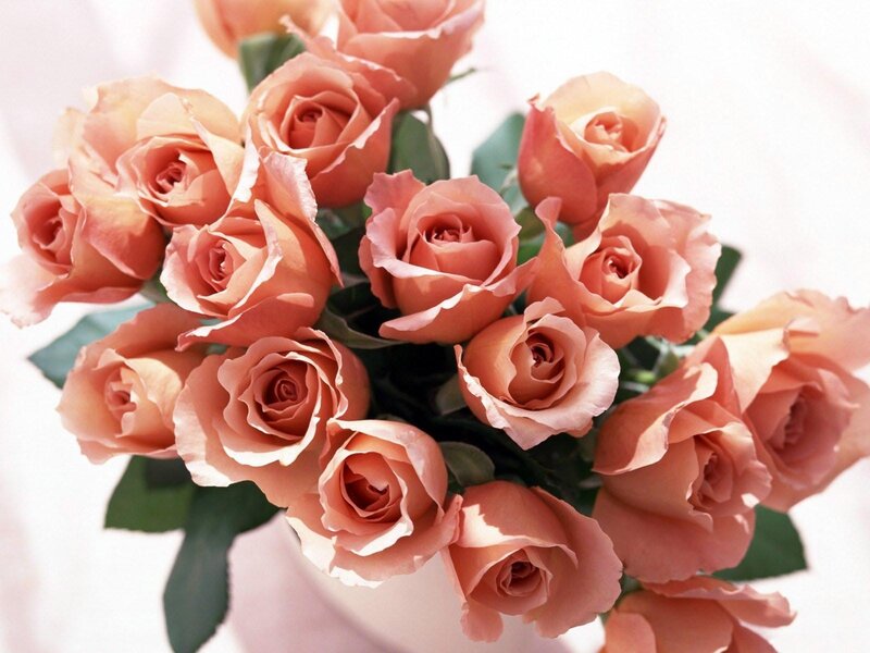 bouquet of peach roses