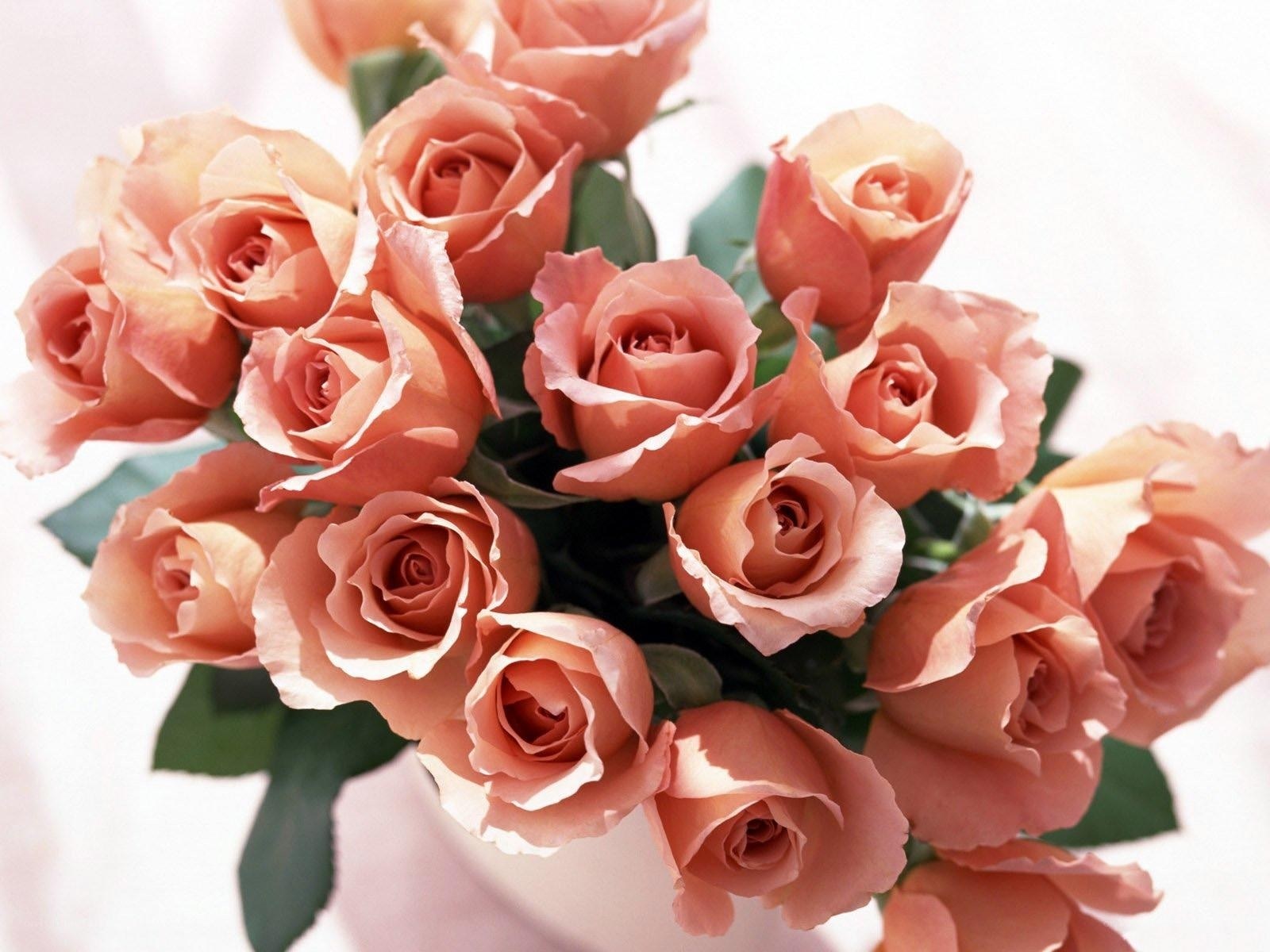 bouquet of peach roses