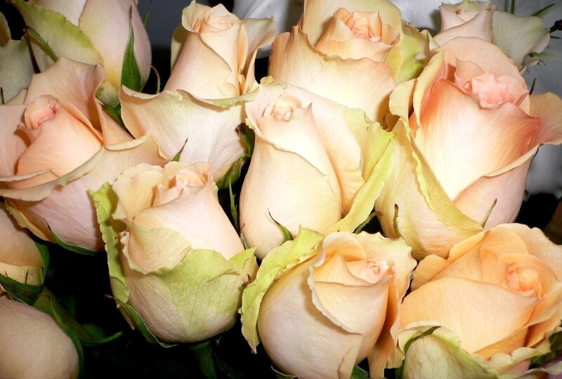 bouquet of peach roses