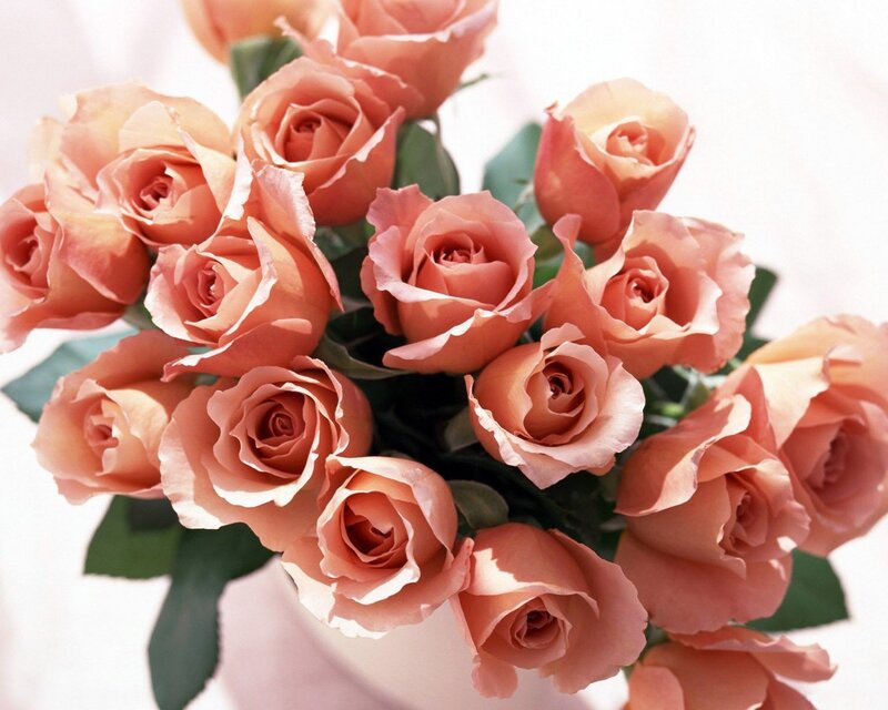 bouquet of peach roses