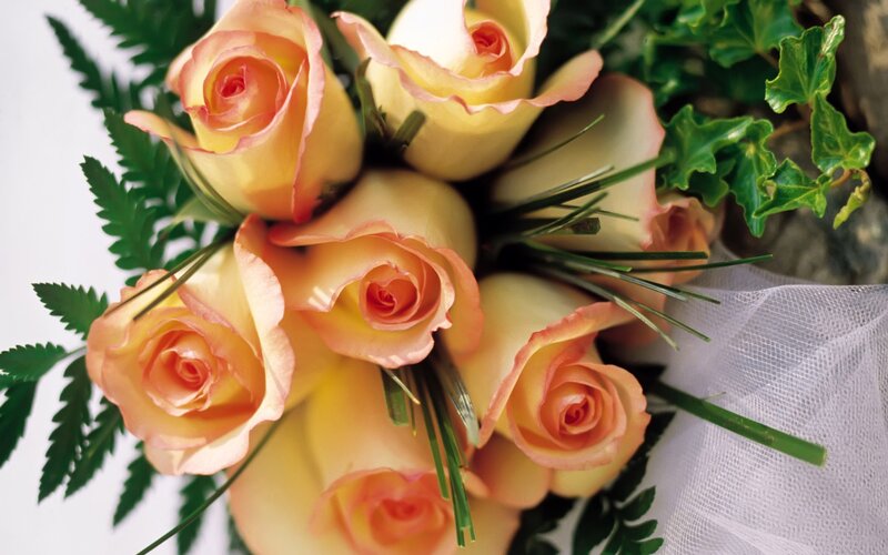 bouquet of peach roses