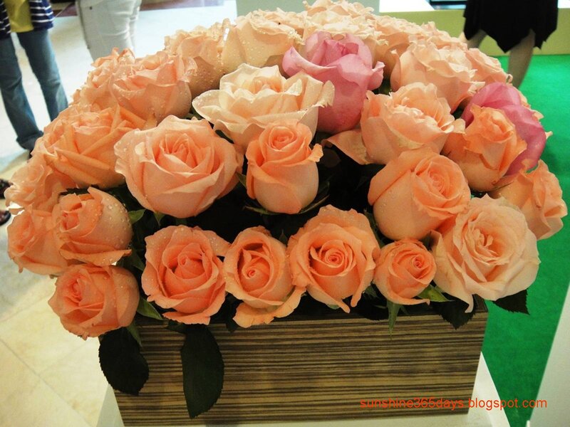 Bouquet of Peach Roses — Calm, Photograph, Flowers, Box