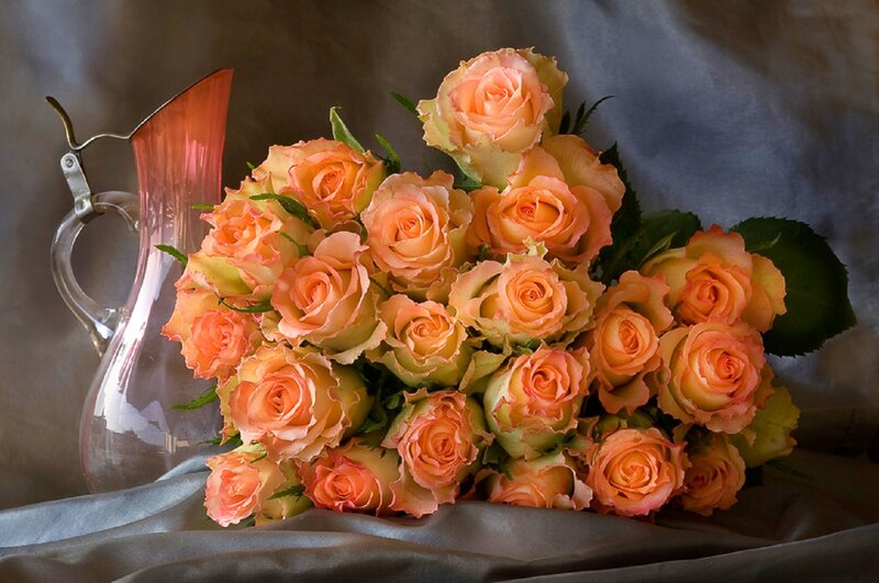 Bouquet of Peach Roses — Calm, Photograph, Pitcher