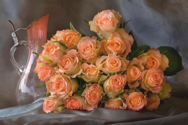 Bouquet of Peach Roses — Serene, Photograph, Pitcher