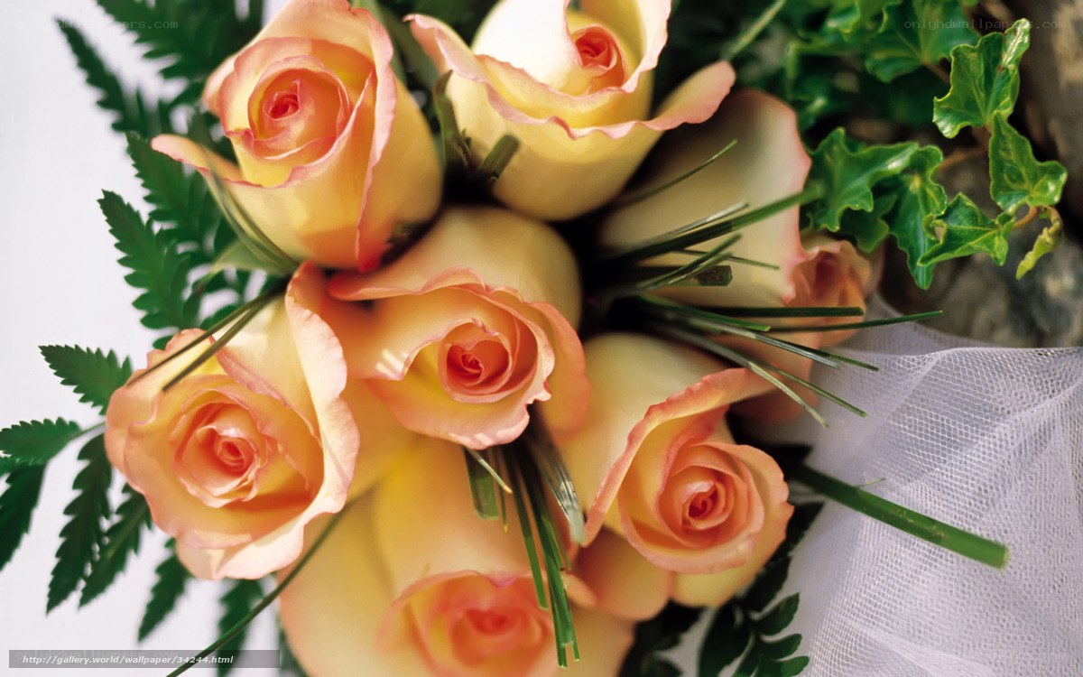 bouquet of peach roses