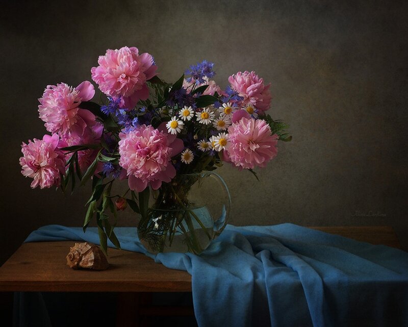 Bouquet of Peonies — Pink, Serene, Photograph