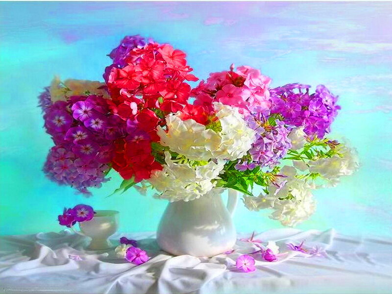 Bouquet of Phlox Flowers — Blue