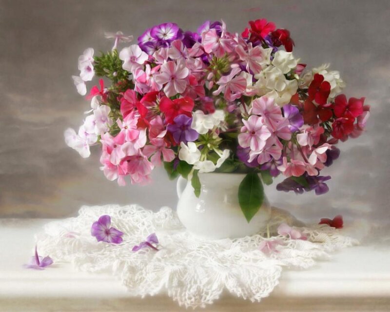 Bouquet of Phlox Flowers — Pink, Serene