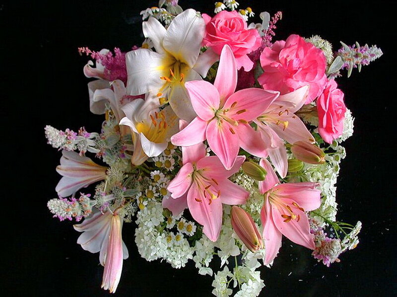 Bouquet of Pink and White Flowers — Dramatic