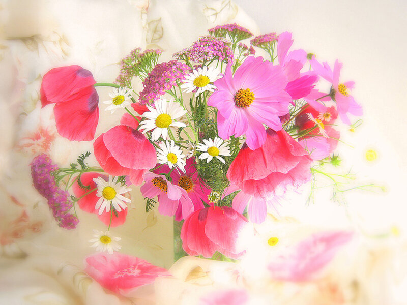 Bouquet of Pink and White Flowers — Serene, Spring