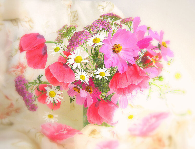 Bouquet of Pink and White Flowers — Serene