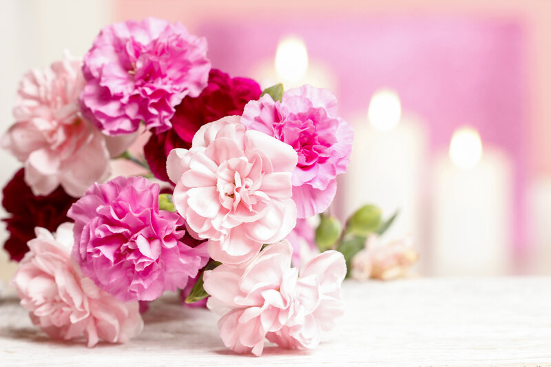Bouquet of Pink Carnations — Serene