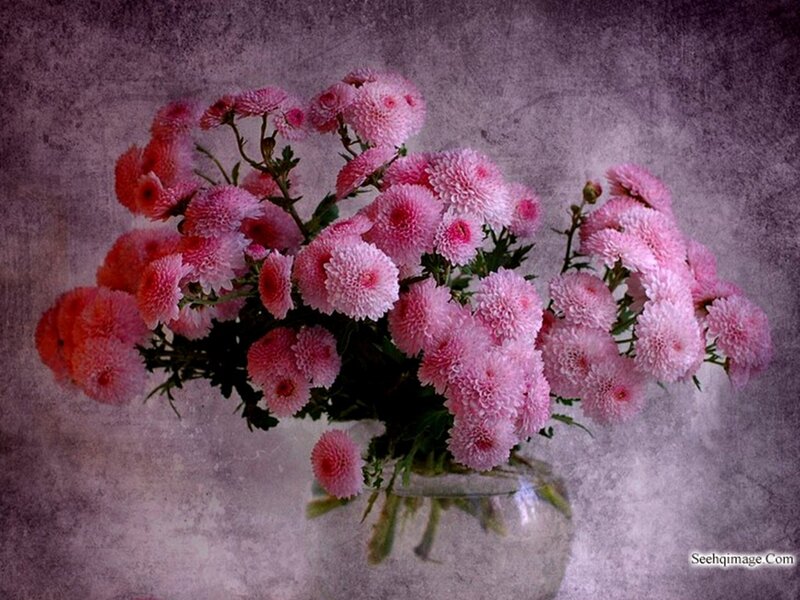Bouquet of Pink Chrysanthemums — Calm, Photograph