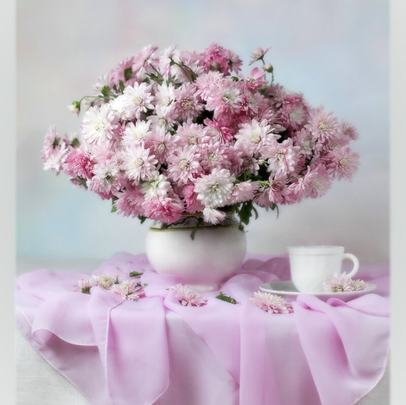 Bouquet of Pink Chrysanthemums — Serene, Photograph
