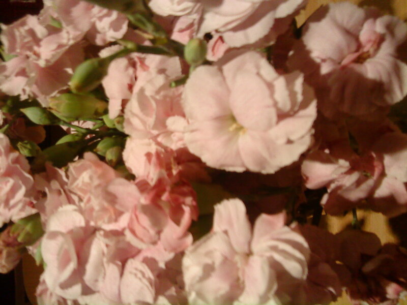 bouquet of pink flowers
