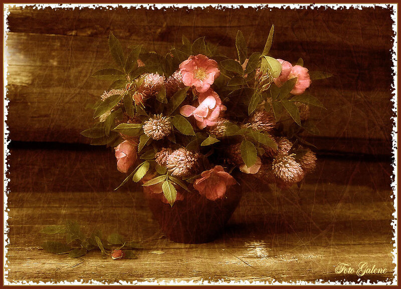 Bouquet of Pink Flowers — Brown