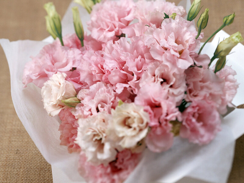 Bouquet of Pink Flowers — Calm, Photograph, Wrapping Paper