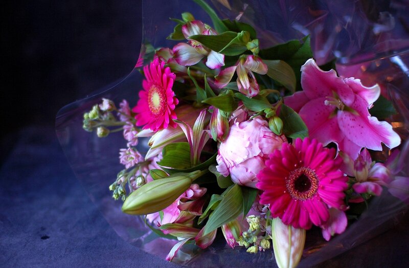Bouquet of Pink Flowers — Dramatic