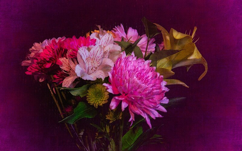 Bouquet of Pink Flowers — Purple, Dramatic, Photograph