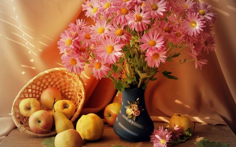 Bouquet of Pink Flowers — Serene, Afternoon