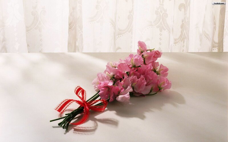 Bouquet of Pink Flowers — Serene, Morning