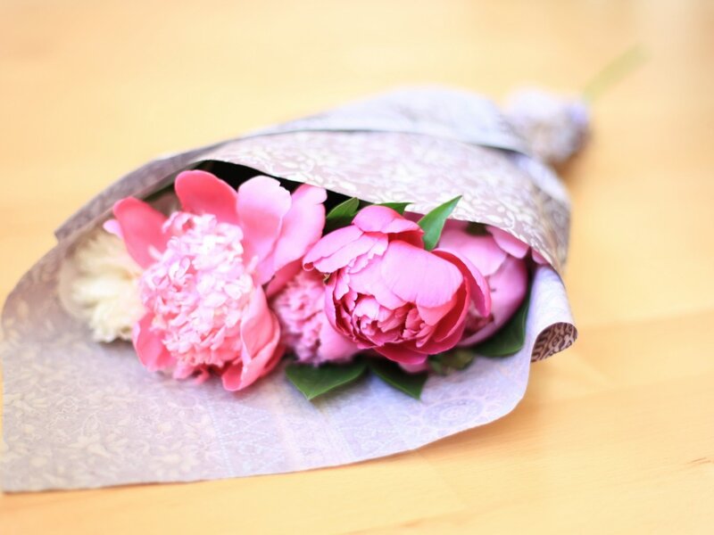 Bouquet of Pink Peonies — Calm, Photograph