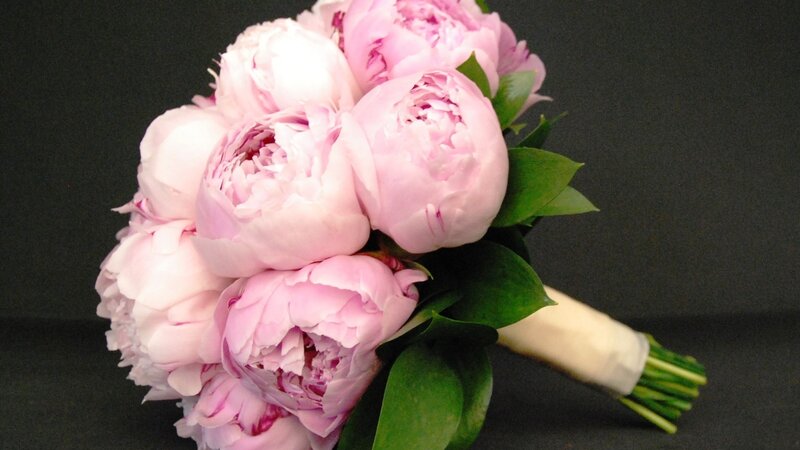 Bouquet of Pink Peonies — Calm