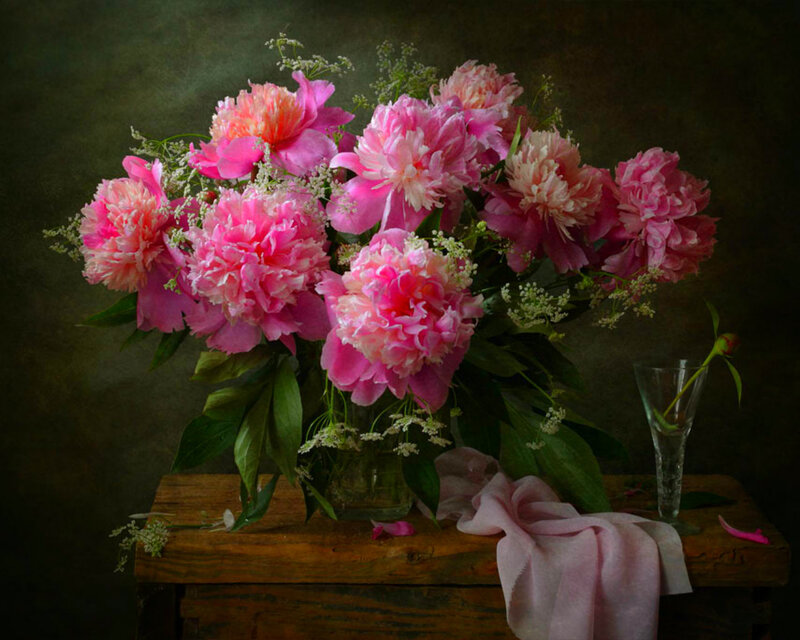 Bouquet of Pink Peonies — Dramatic