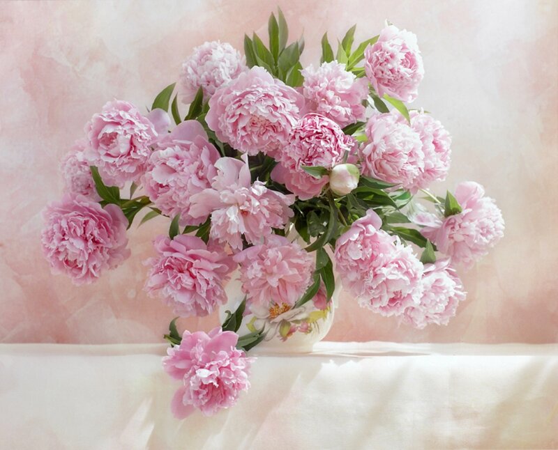 Bouquet of Pink Peonies — Serene, Photograph