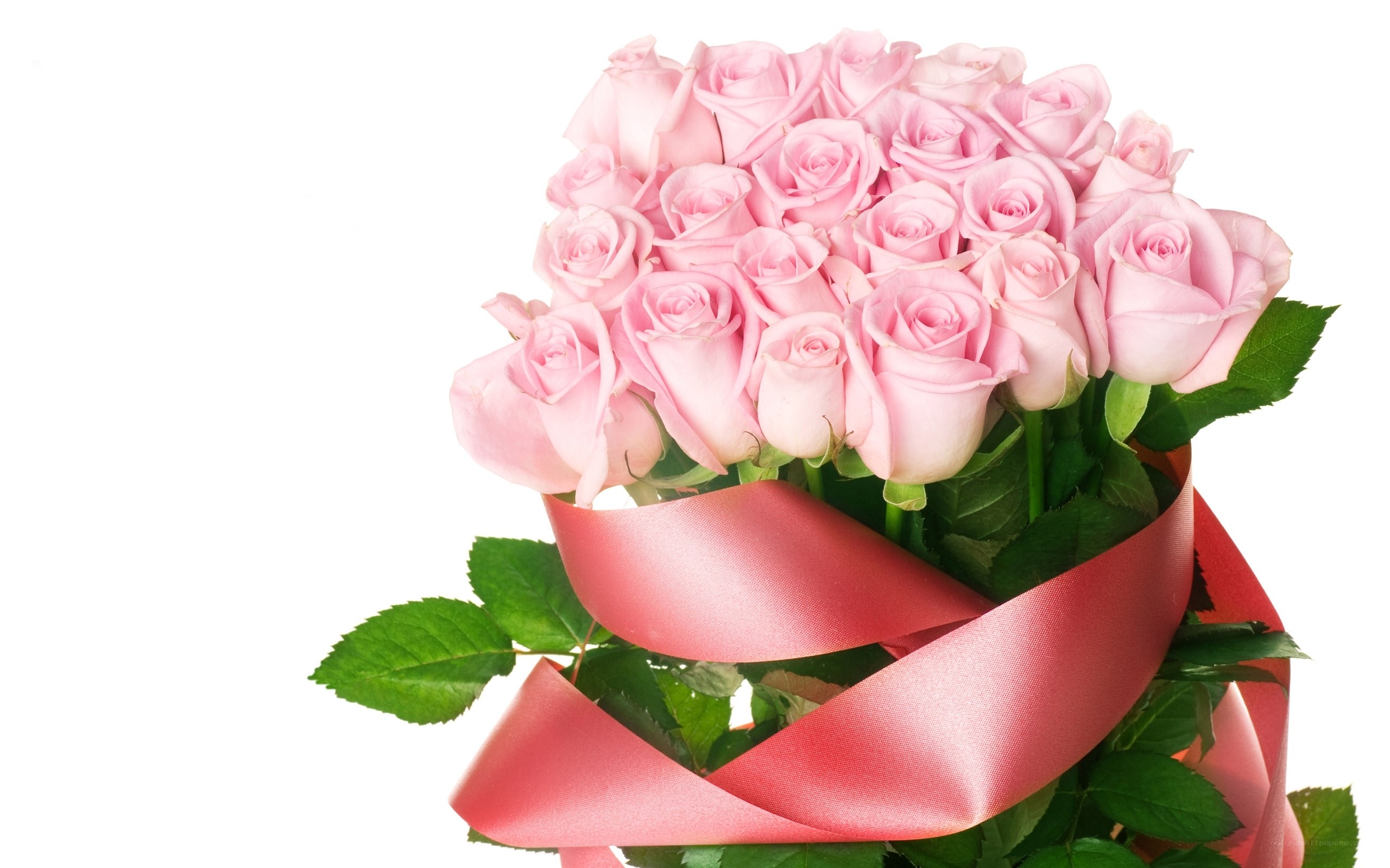 bouquet of pink roses
