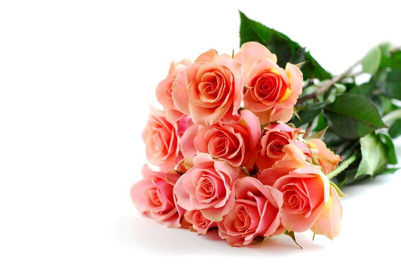bouquet of pink roses