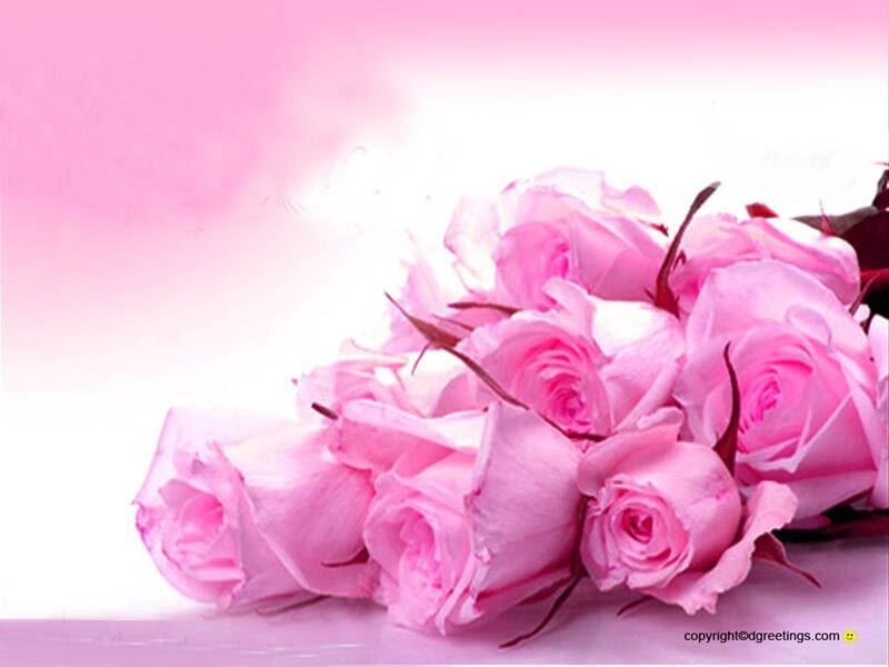 bouquet of pink roses
