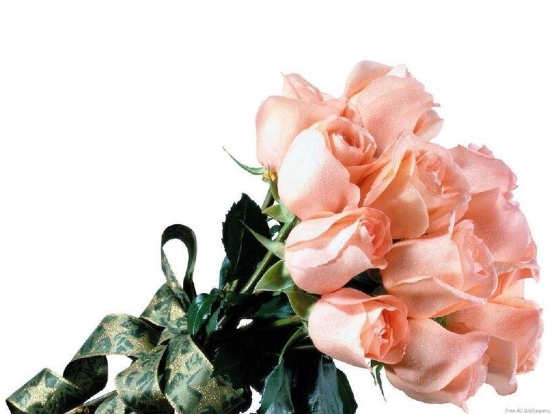bouquet of pink roses