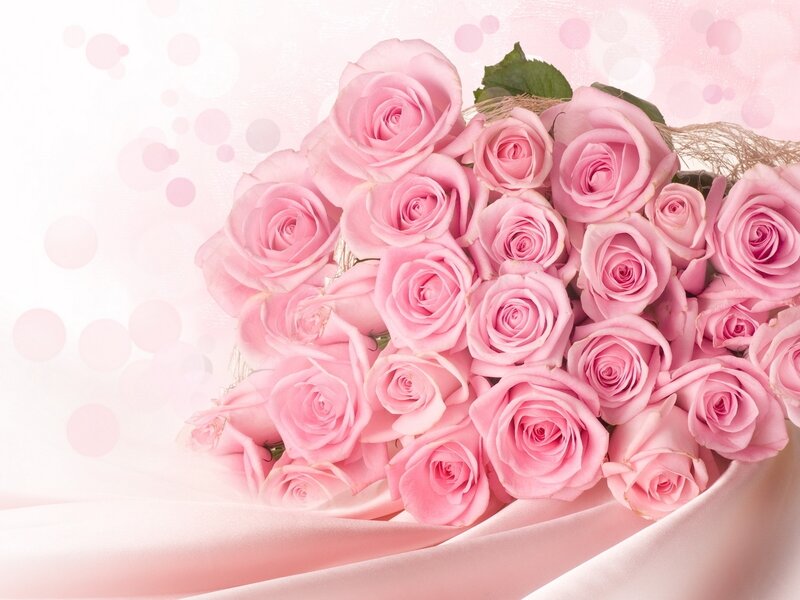 bouquet of pink roses