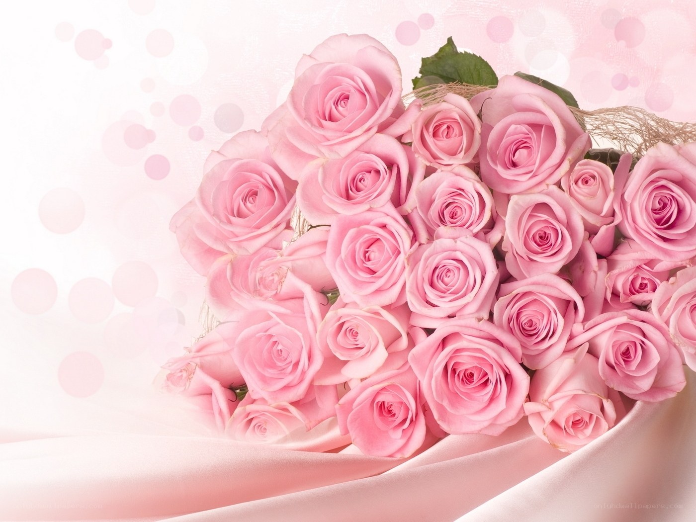 bouquet of pink roses