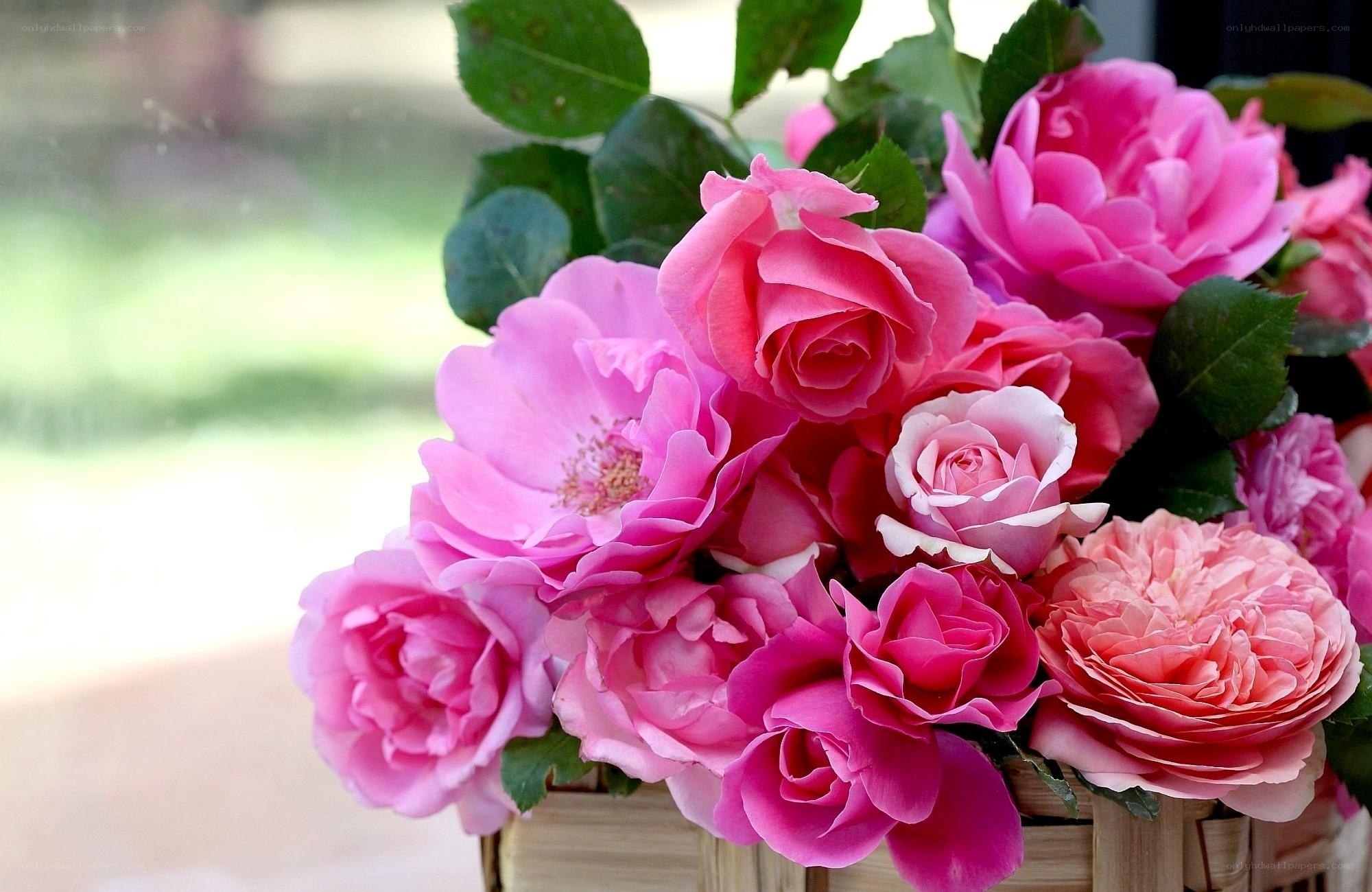 bouquet of pink roses