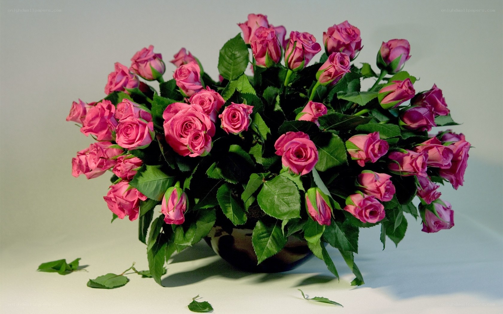 bouquet of pink roses