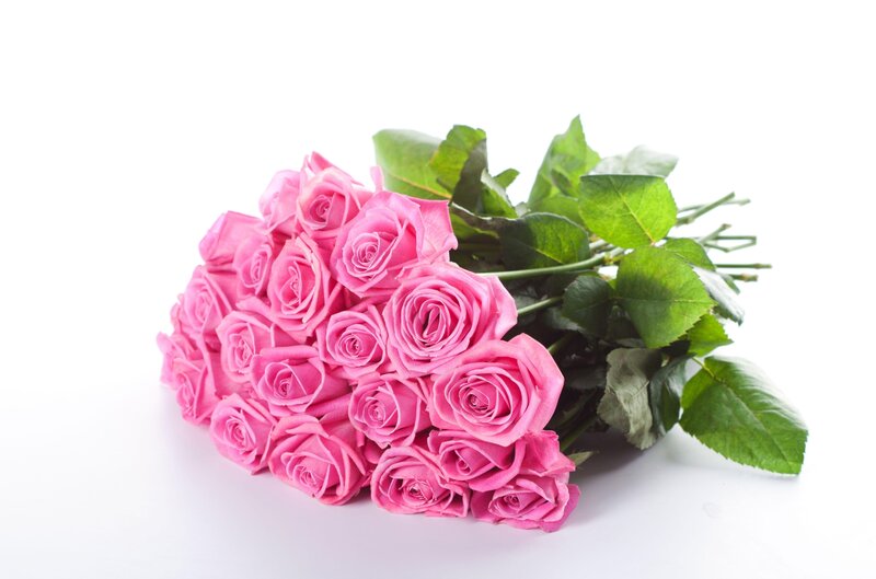 bouquet of pink roses