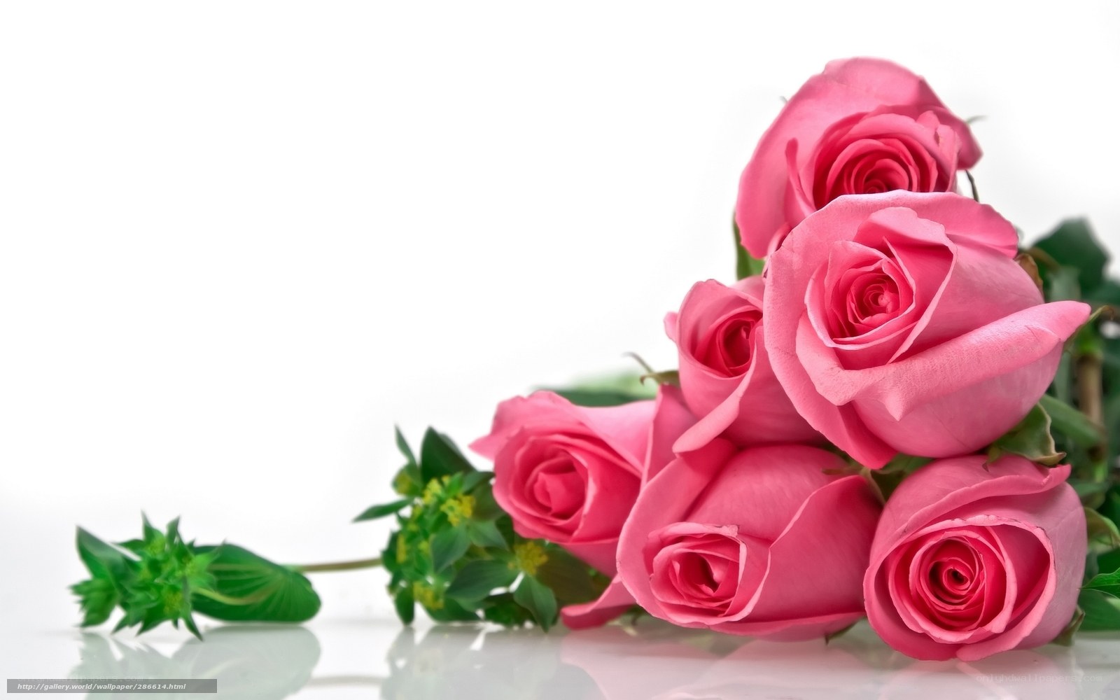bouquet of pink roses