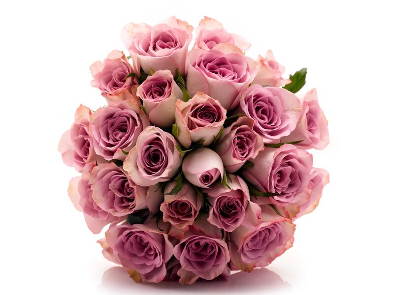 bouquet of pink roses