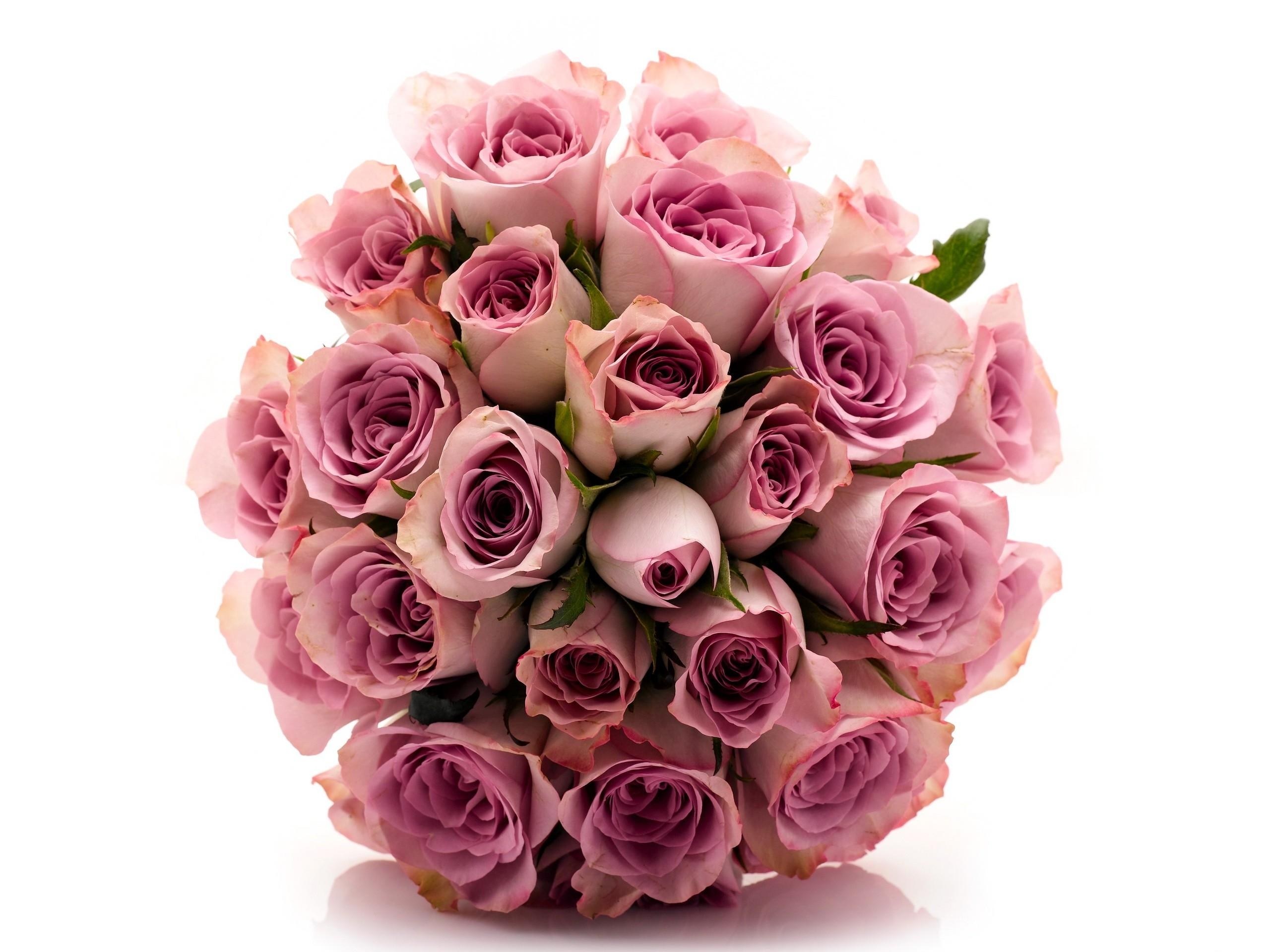bouquet of pink roses