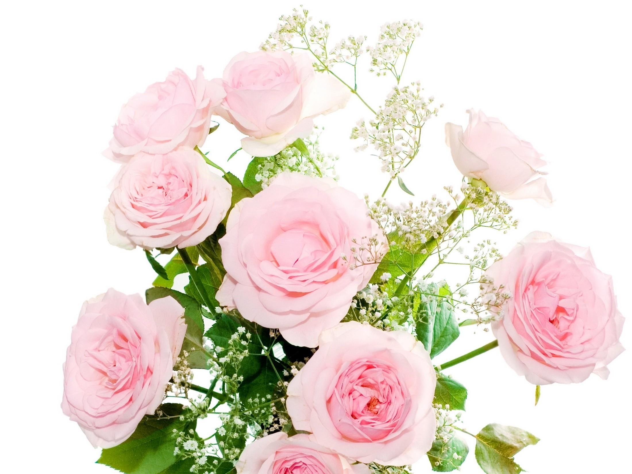 bouquet of pink roses