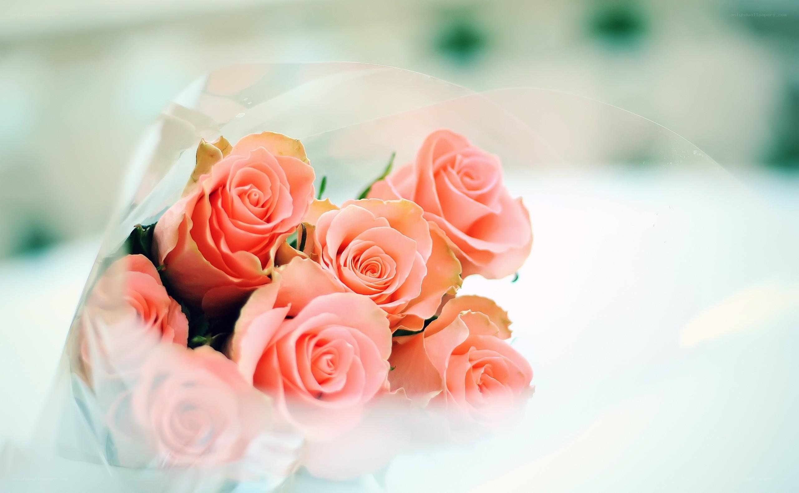 bouquet of pink roses