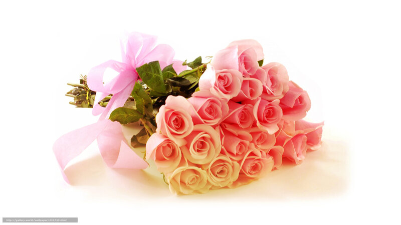 bouquet of pink roses