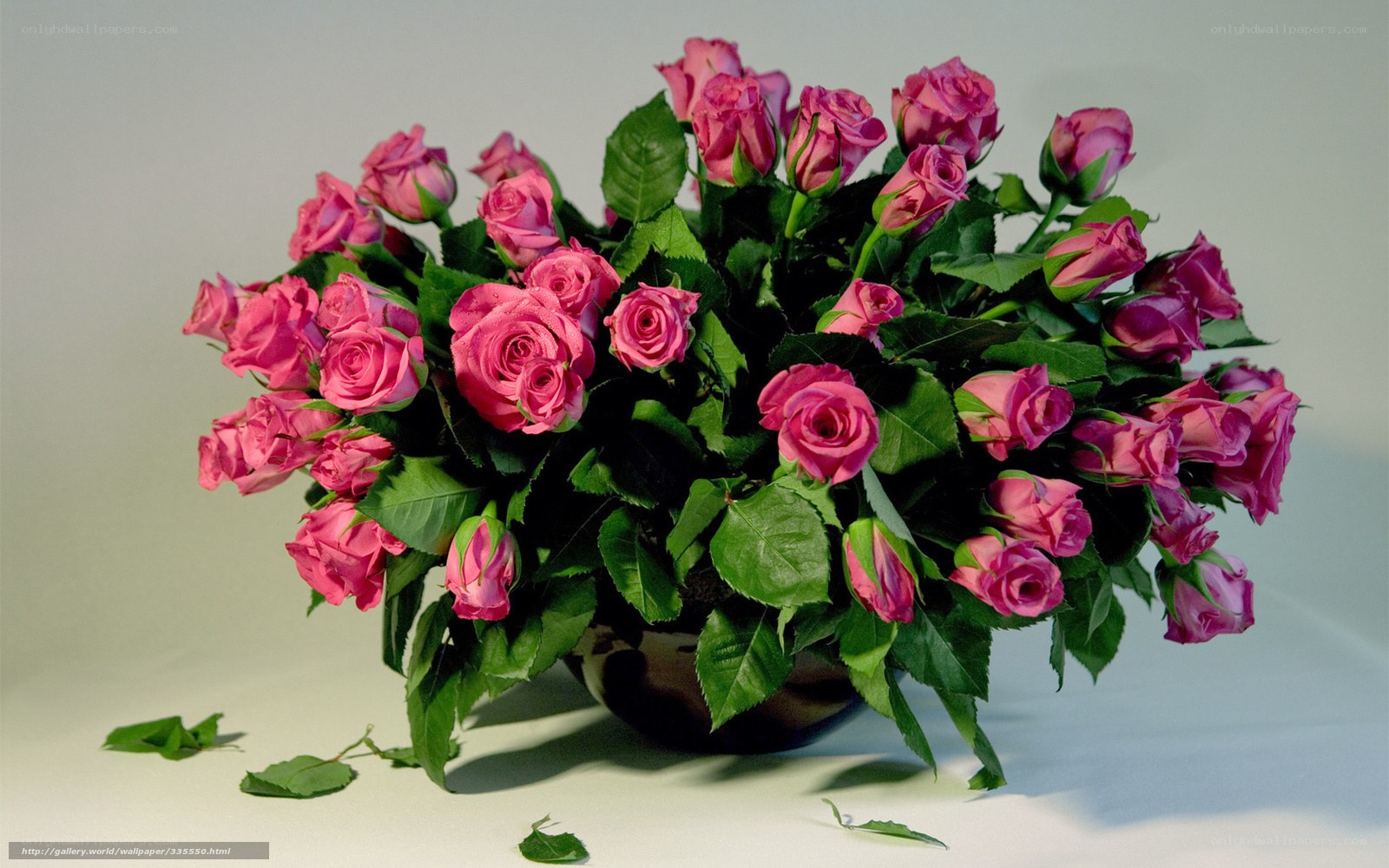 bouquet of pink roses
