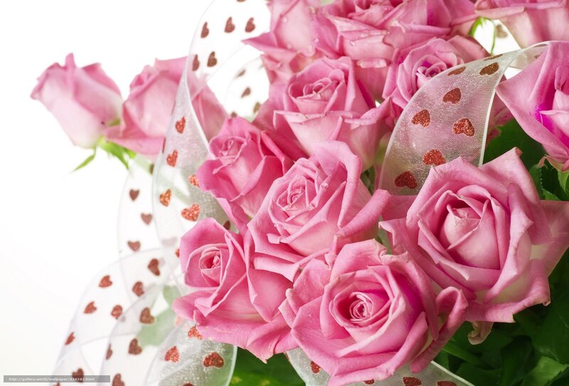 bouquet of pink roses
