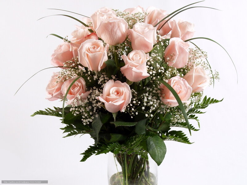 bouquet of pink roses