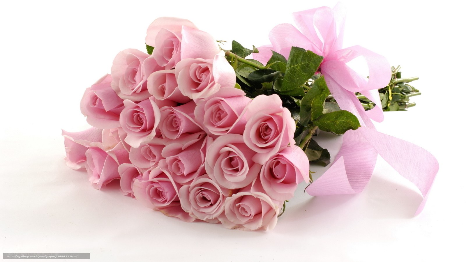 bouquet of pink roses