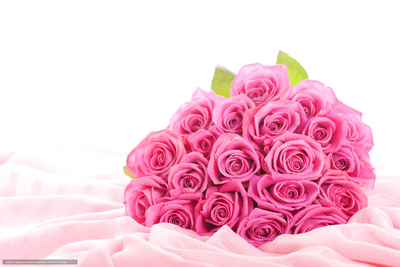 bouquet of pink roses